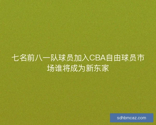 七名前八一队球员加入CBA自由球员市场谁将成为新东家